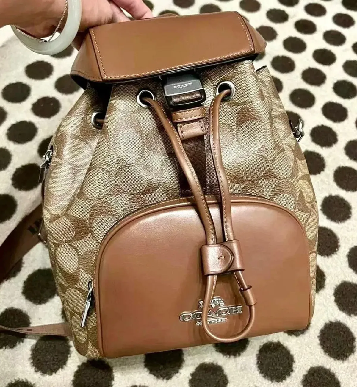 Coach Pace Backpack (Brown)