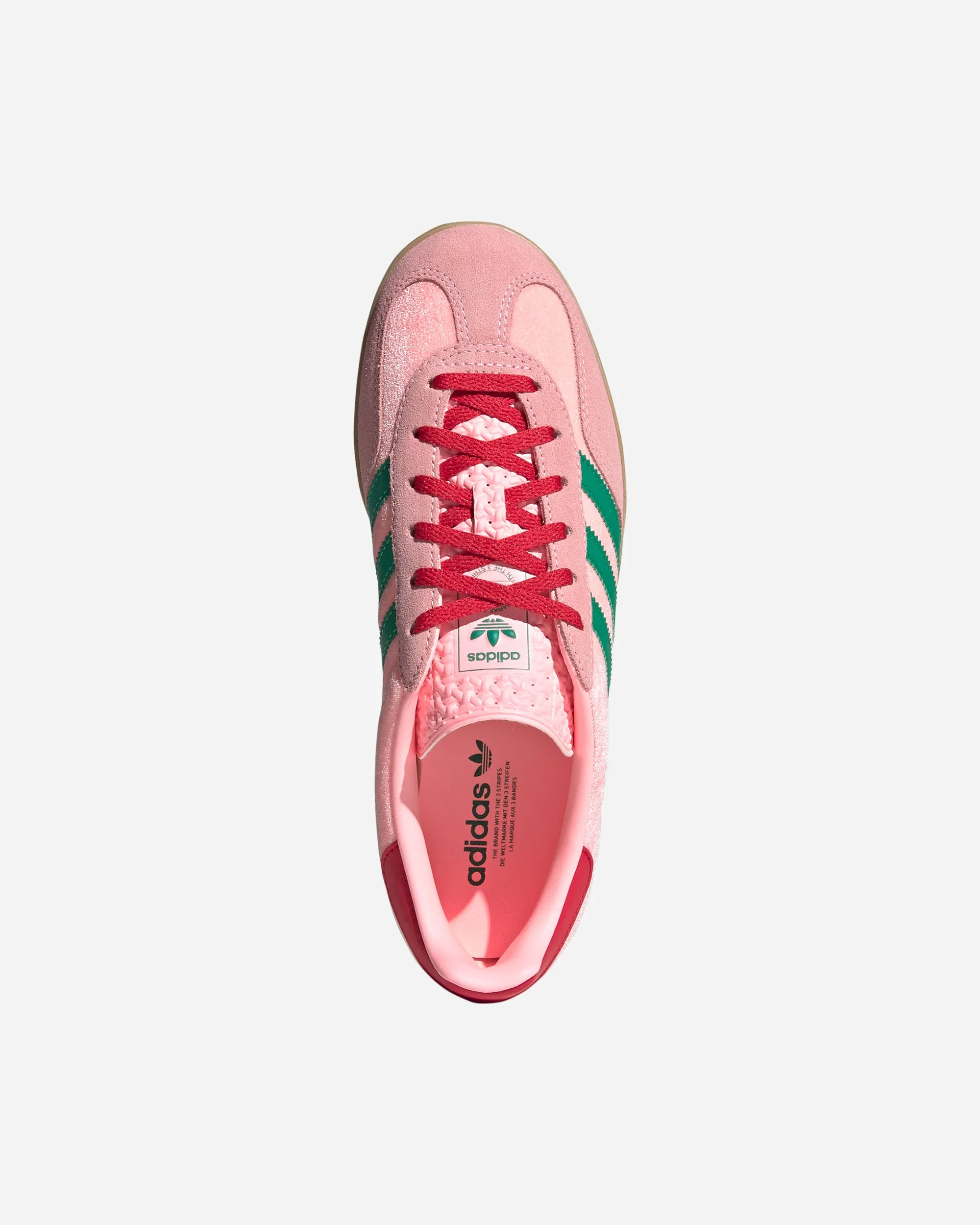 Gazelle Indoor