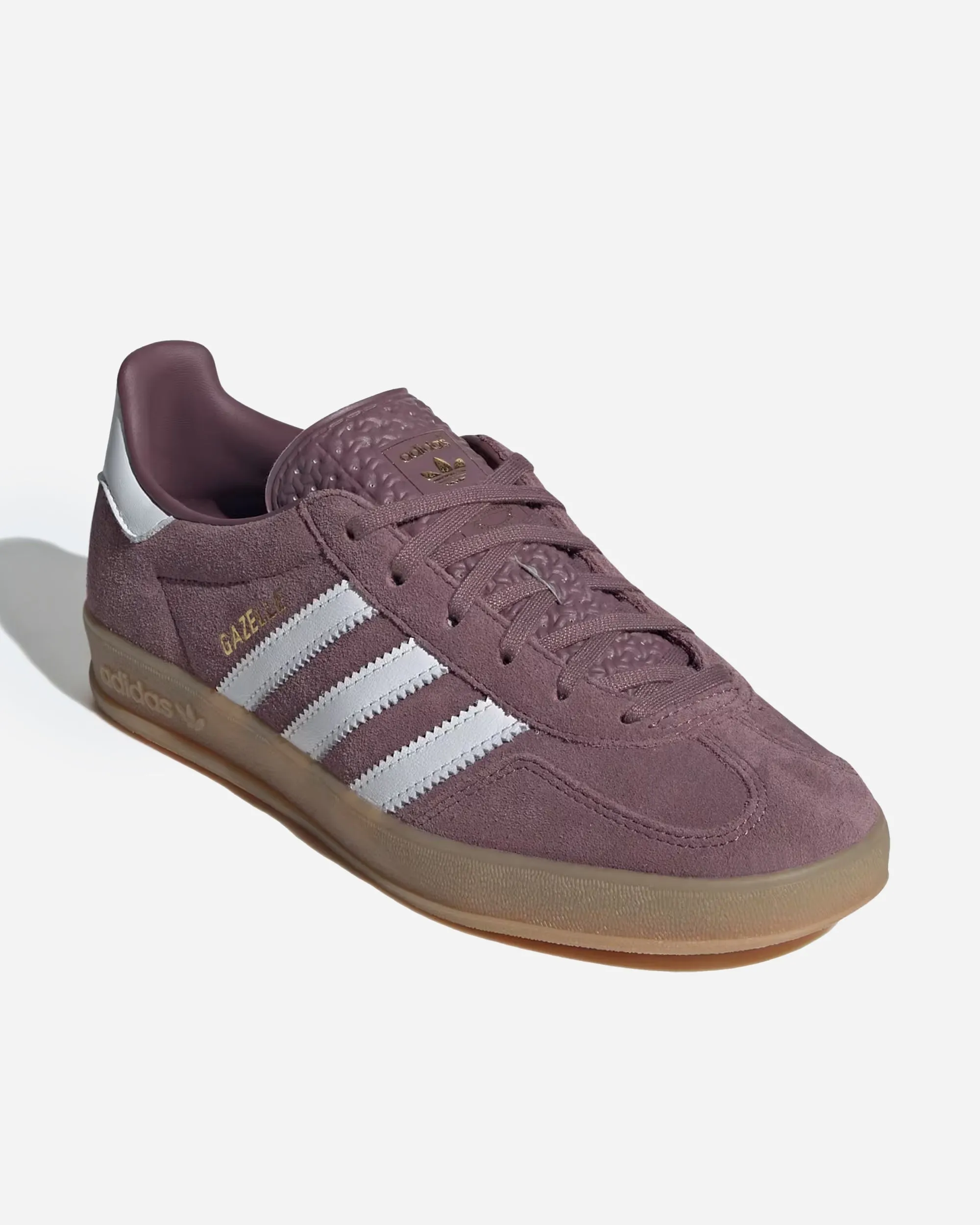 Gazelle Indoor