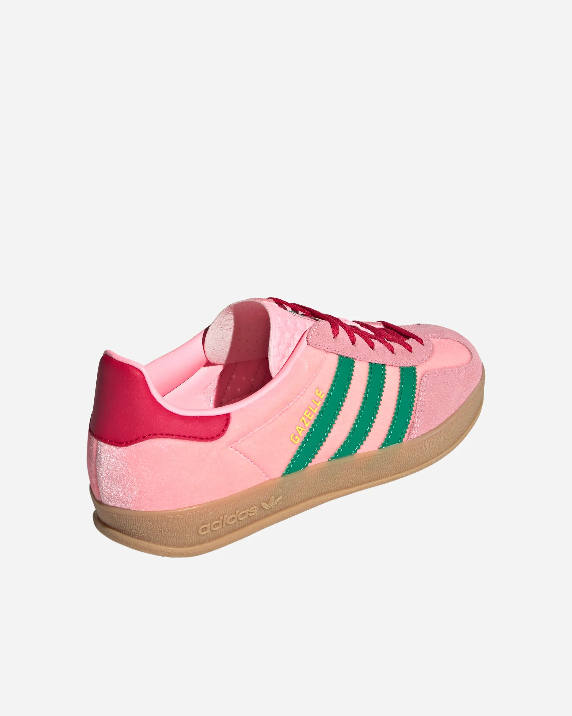 Gazelle Indoor