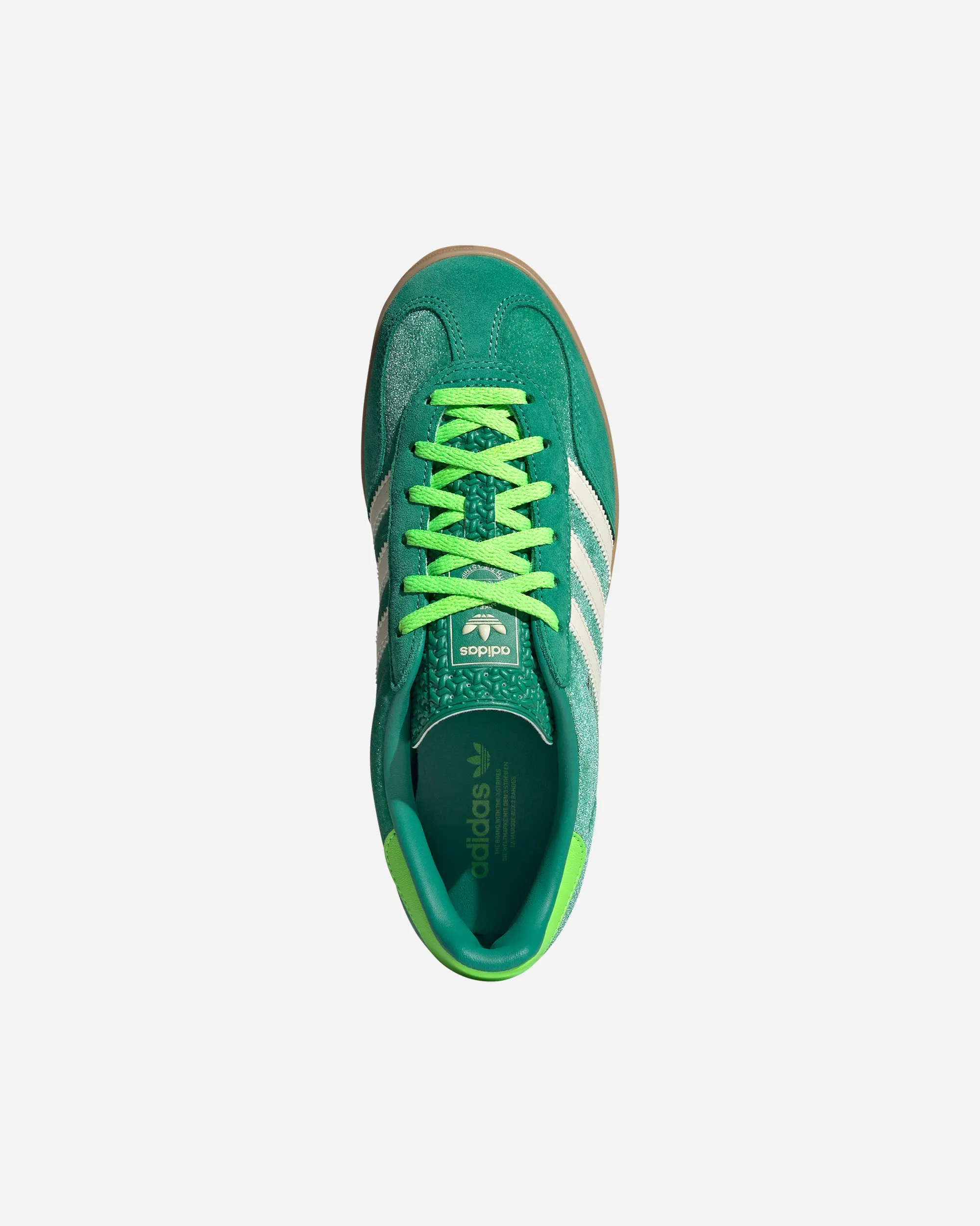 Gazelle Indoor