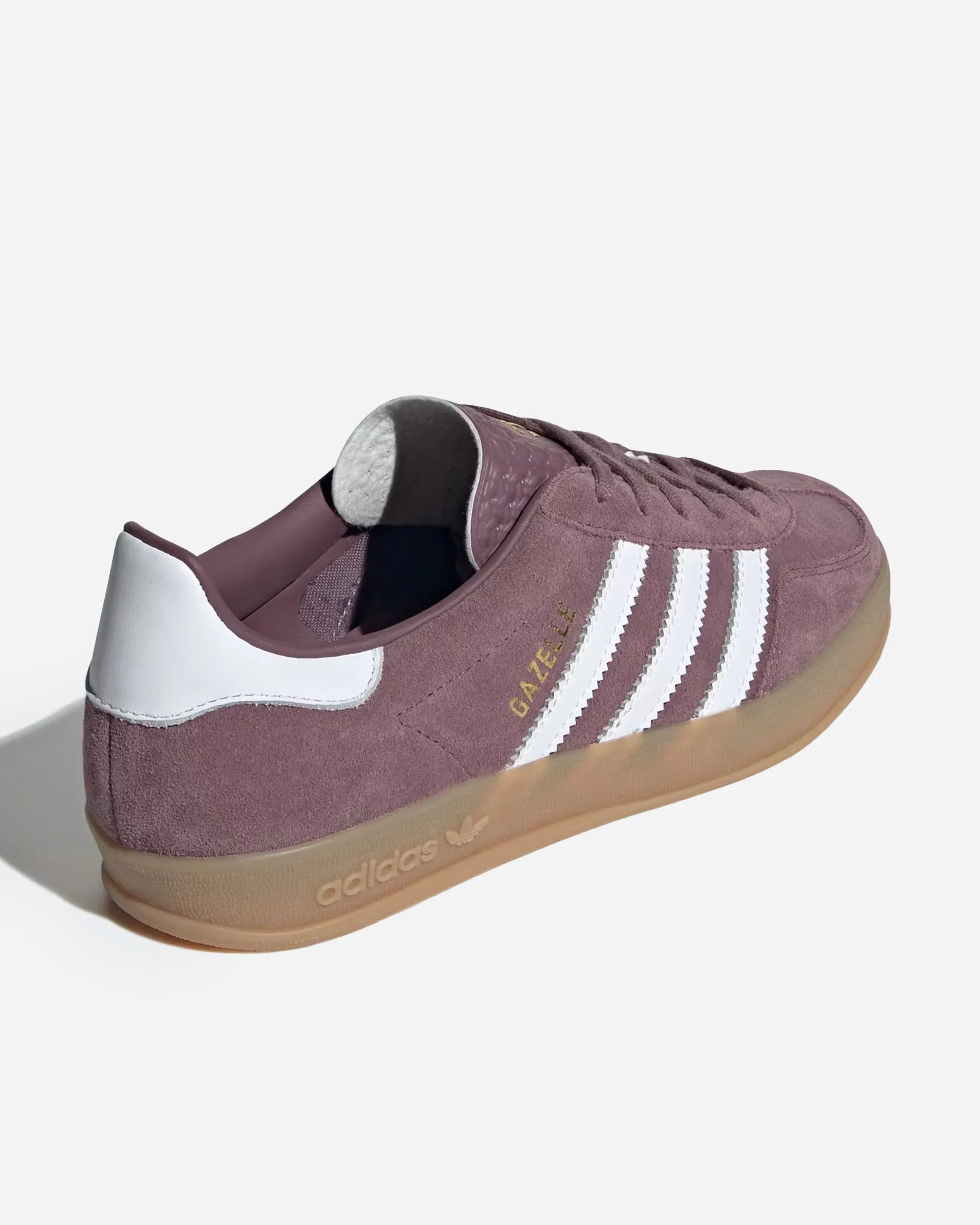 Gazelle Indoor