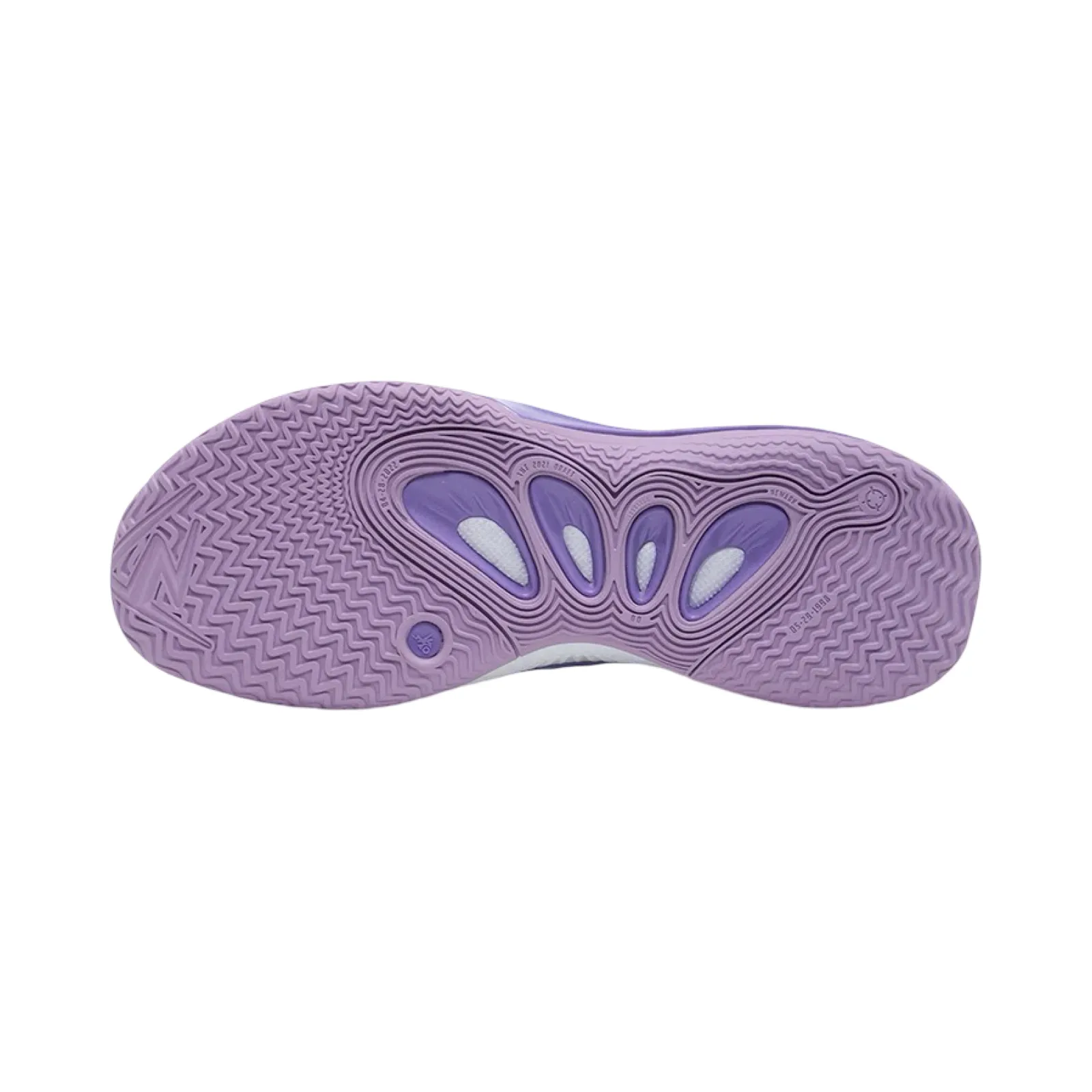 Rigorer AR2 Galatic Milkyway Purple